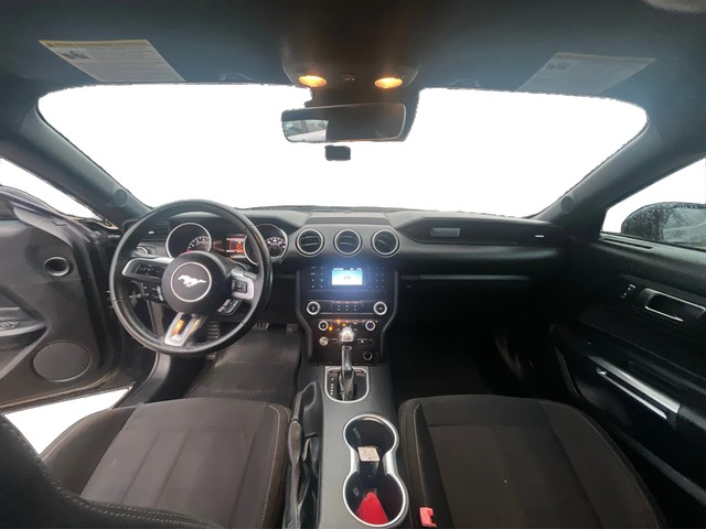 Ford Mustang Vehicle Full-screen Gallery Image 14