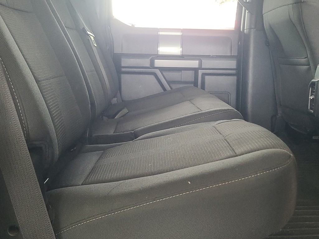 Ford F-150 Vehicle Image 11