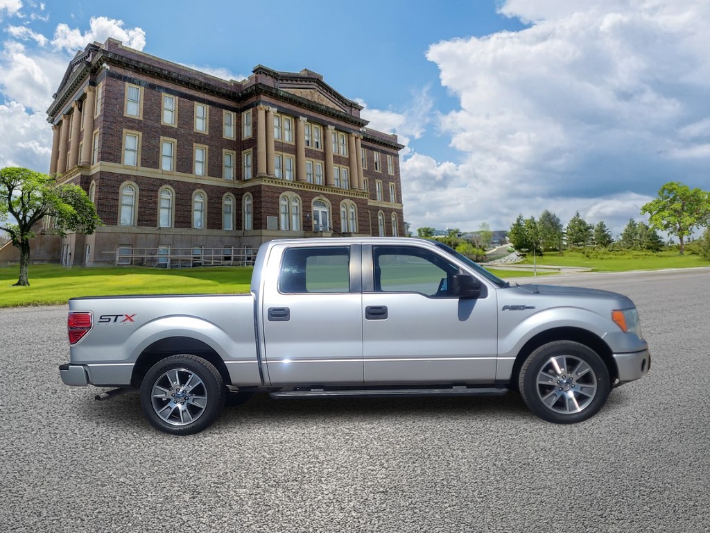 Ford F-150 Vehicle Image 2
