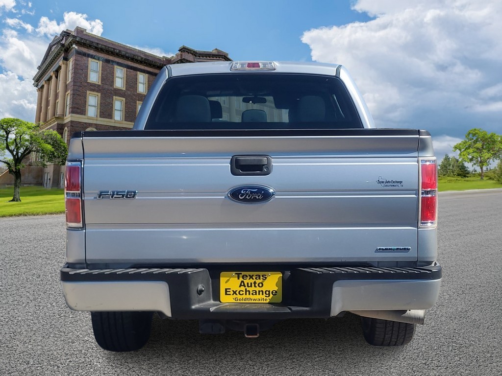 Ford F-150 Vehicle Image 4