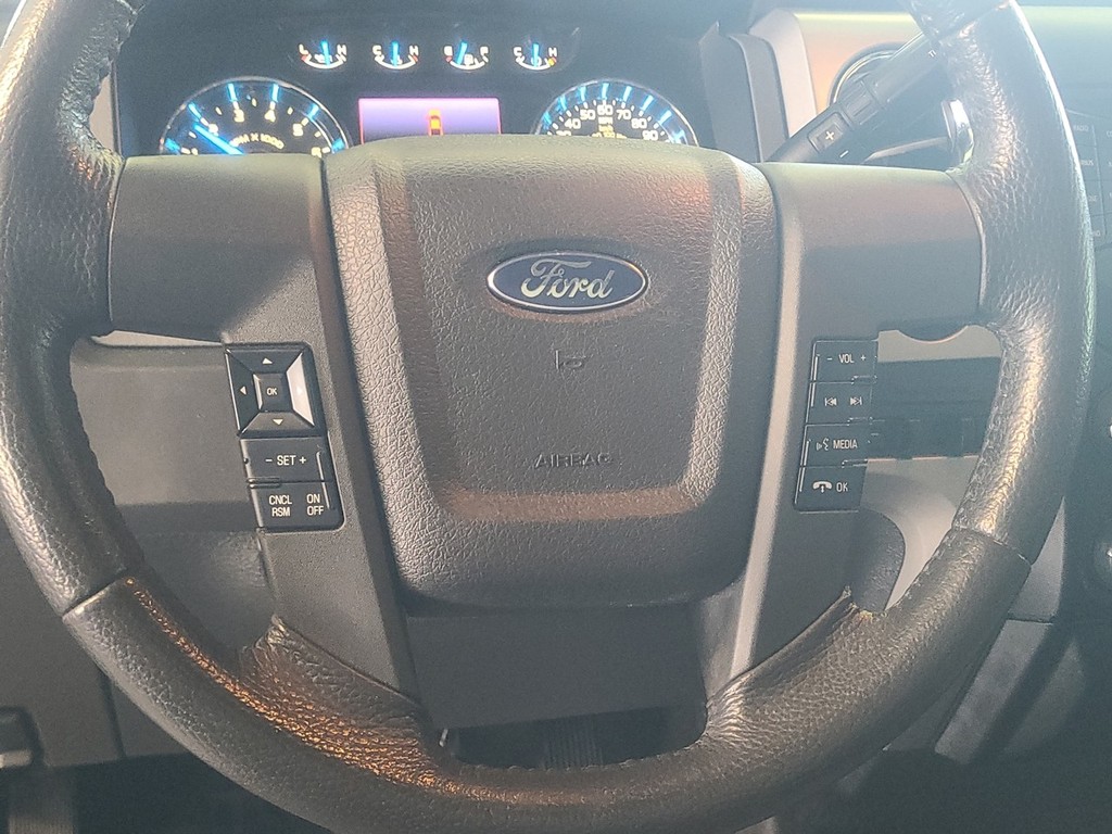 Ford F-150 Vehicle Full-screen Gallery Image 15