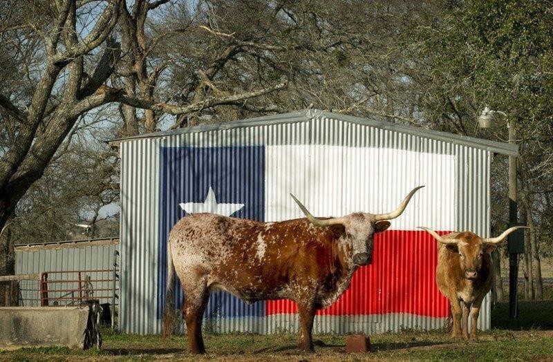 Eldorado Aerotech Vehicle Full-screen Gallery Image 15