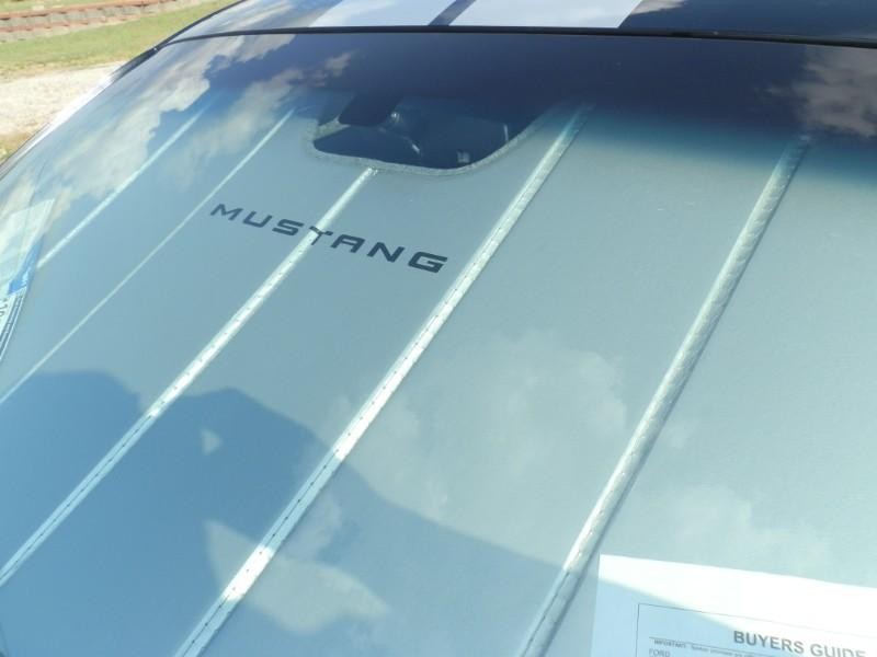 Ford Mustang Vehicle Full-screen Gallery Image 28