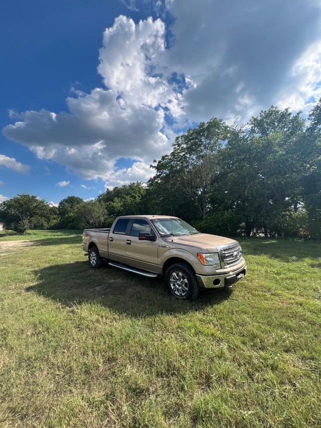 2013 Ford F-150 4WD XLT SuperCrew at Texas Trucks in Kerrville TX