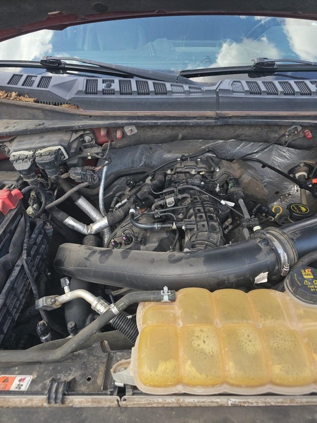 Ford F-150 Vehicle Full-screen Gallery Image 05