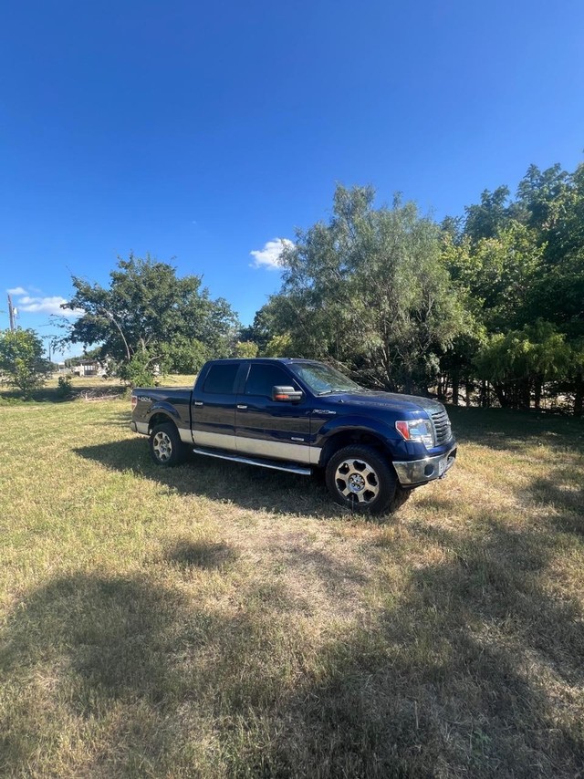 more details - ford f-150
