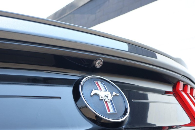 Ford Mustang Vehicle Full-screen Gallery Image 08