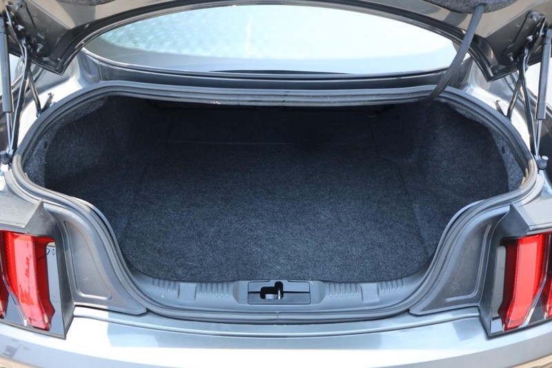 Ford Mustang Vehicle Full-screen Gallery Image 09