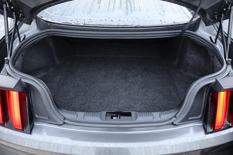 Ford Mustang Vehicle Full-screen Gallery Image 09