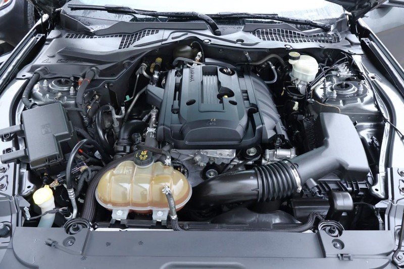 Ford Mustang Vehicle Full-screen Gallery Image 13