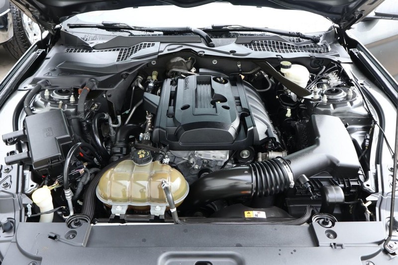 Ford Mustang Vehicle Full-screen Gallery Image 13