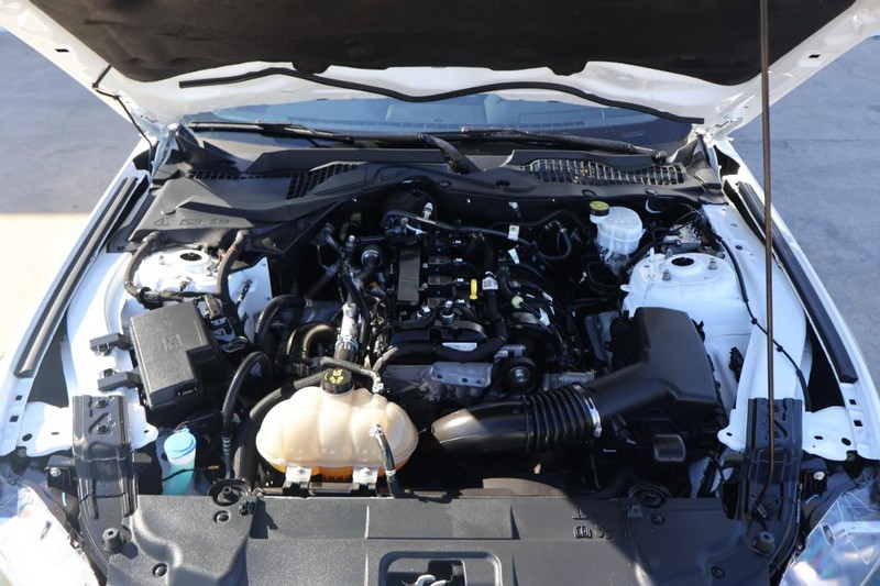 Ford Mustang Vehicle Full-screen Gallery Image 12