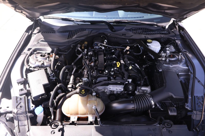 Ford Mustang Vehicle Full-screen Gallery Image 12