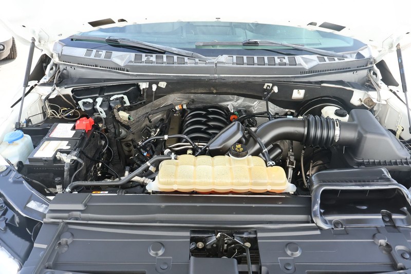 Ford F-150 Vehicle Full-screen Gallery Image 14