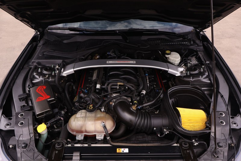 Ford Mustang Vehicle Full-screen Gallery Image 12