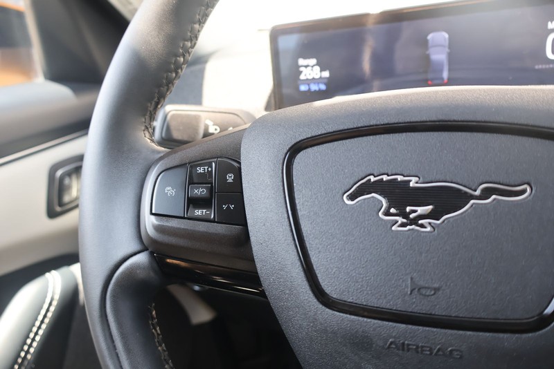 Ford Mustang Mach-E Vehicle Full-screen Gallery Image 24
