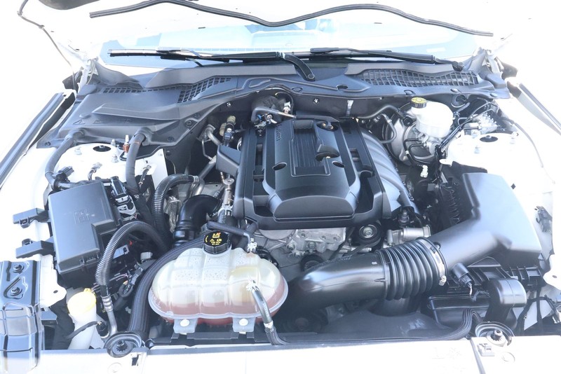 Ford Mustang Vehicle Full-screen Gallery Image 13