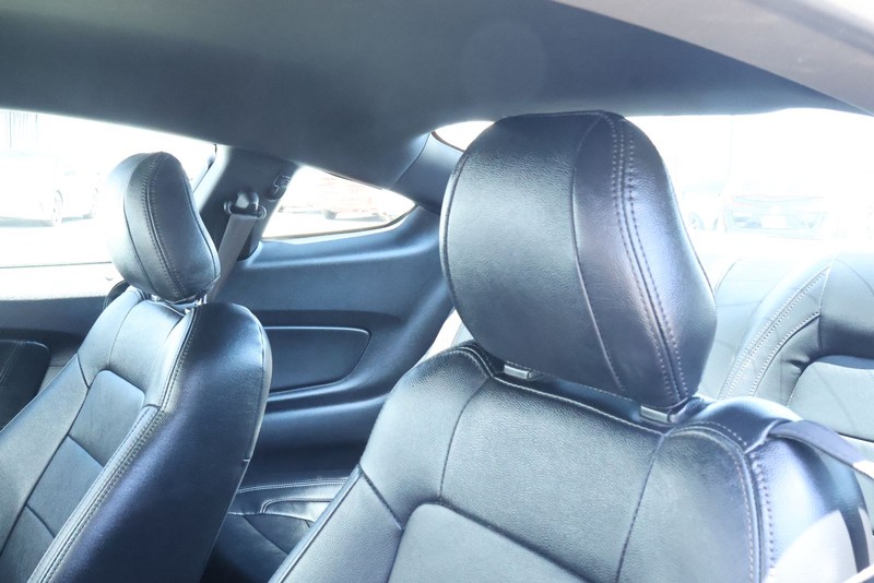 Ford Mustang Vehicle Full-screen Gallery Image 19
