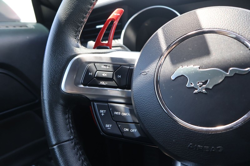 Ford Mustang Vehicle Full-screen Gallery Image 24
