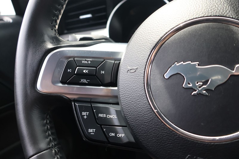 Ford Mustang Vehicle Full-screen Gallery Image 24