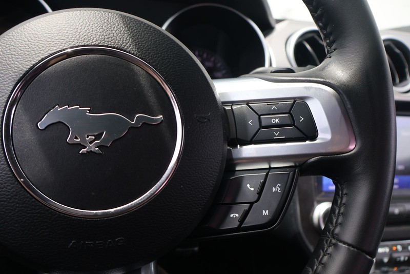 Ford Mustang Vehicle Full-screen Gallery Image 25