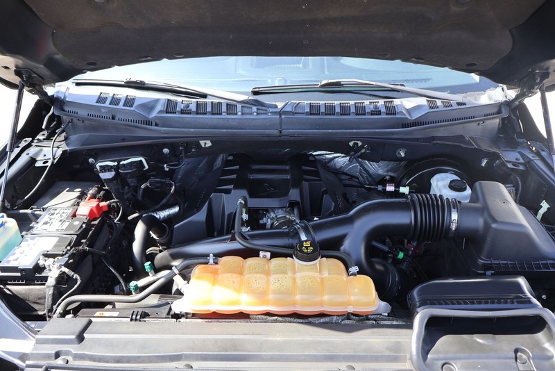 Ford F-150 Vehicle Full-screen Gallery Image 12
