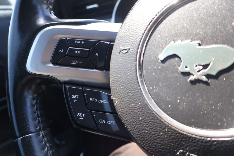Ford Mustang Vehicle Full-screen Gallery Image 23