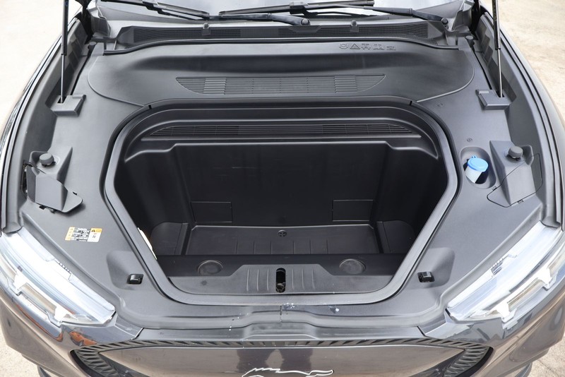 Ford Mustang Mach-E Vehicle Full-screen Gallery Image 12