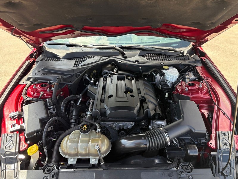 Ford Mustang Vehicle Full-screen Gallery Image 12