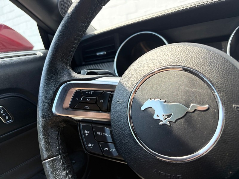 Ford Mustang Vehicle Full-screen Gallery Image 24