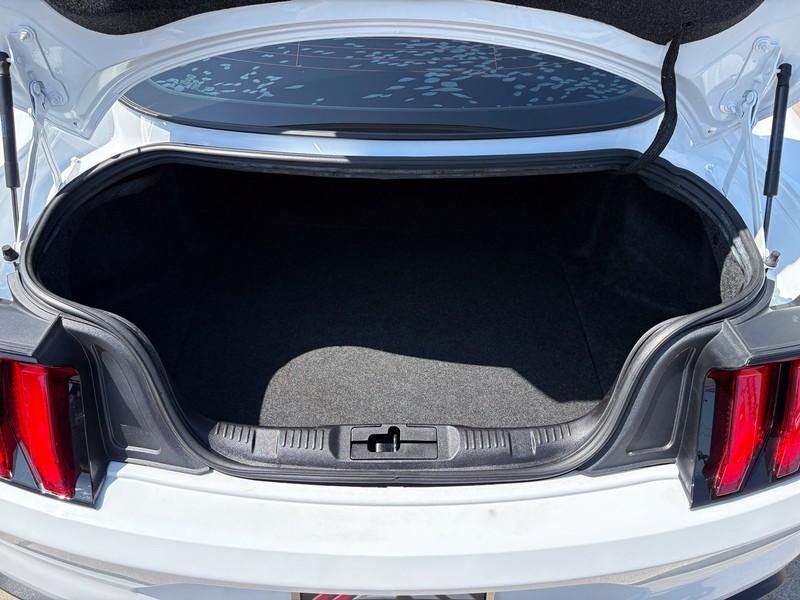 Ford Mustang Vehicle Full-screen Gallery Image 08