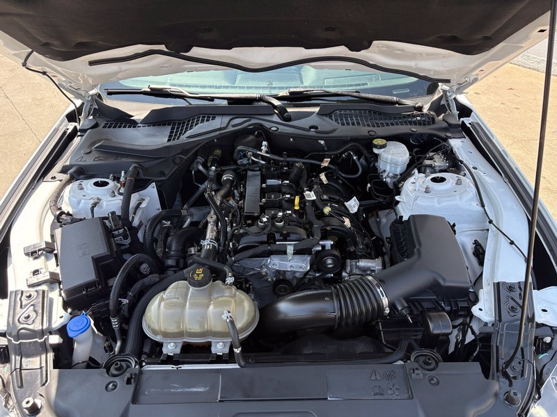 Ford Mustang Vehicle Full-screen Gallery Image 12