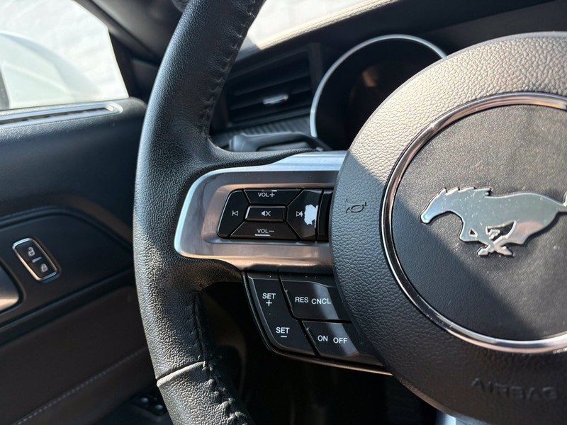 Ford Mustang Vehicle Full-screen Gallery Image 23