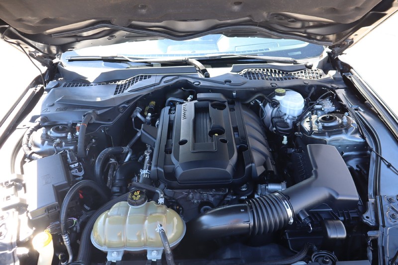 Ford Mustang Vehicle Full-screen Gallery Image 12