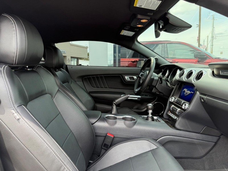 Ford Mustang Vehicle Image 10