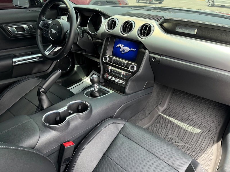 Ford Mustang Vehicle Image 12