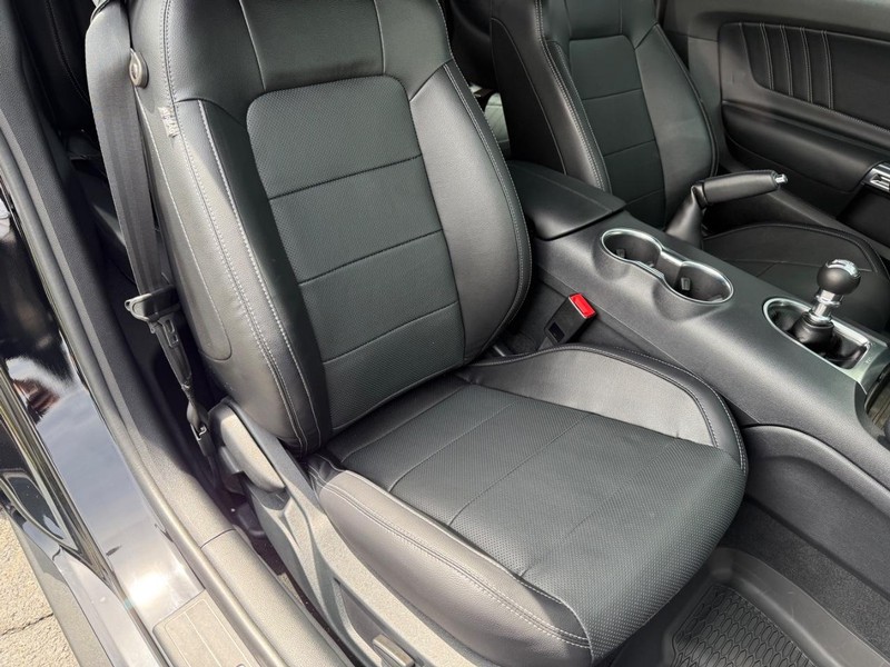 Ford Mustang Vehicle Image 13