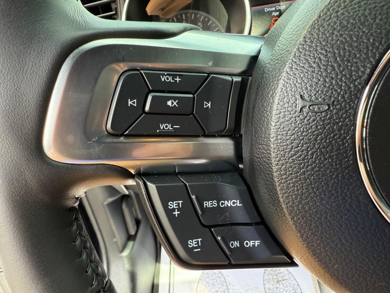 Ford Mustang Vehicle Image 14
