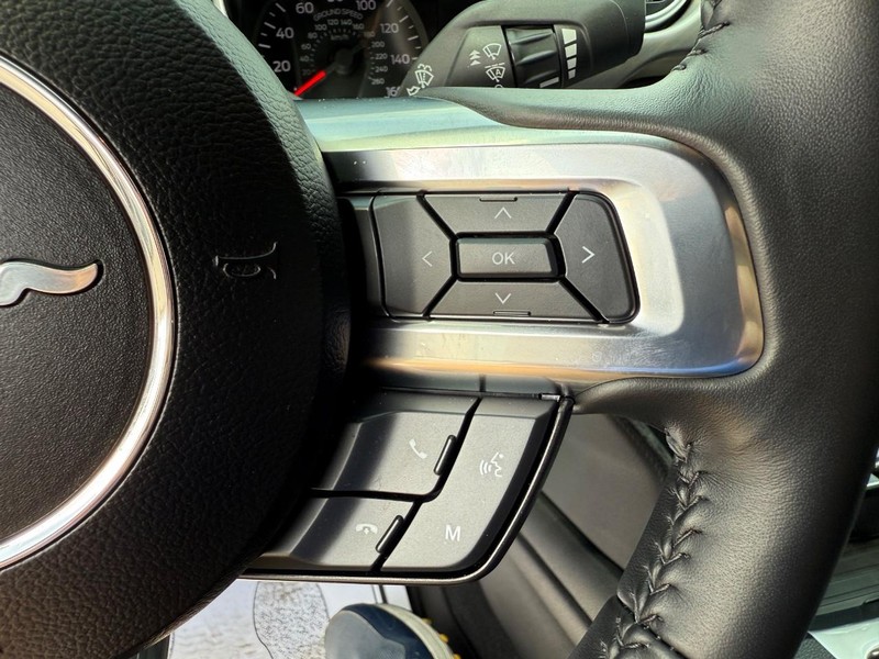 Ford Mustang Vehicle Image 15