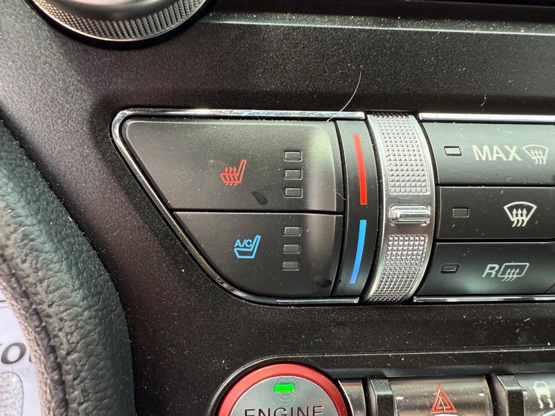 Ford Mustang Vehicle Image 17
