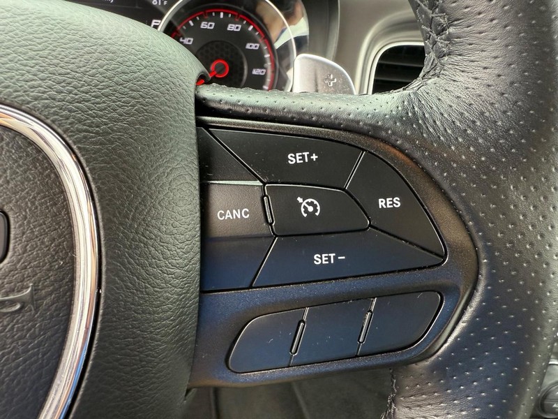 Dodge Charger Vehicle Image 14