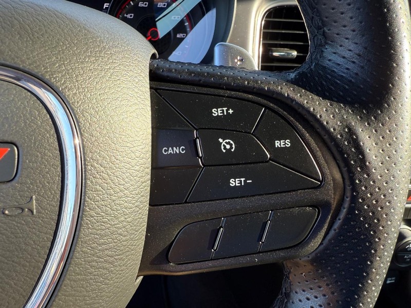 Dodge Charger Vehicle Image 14