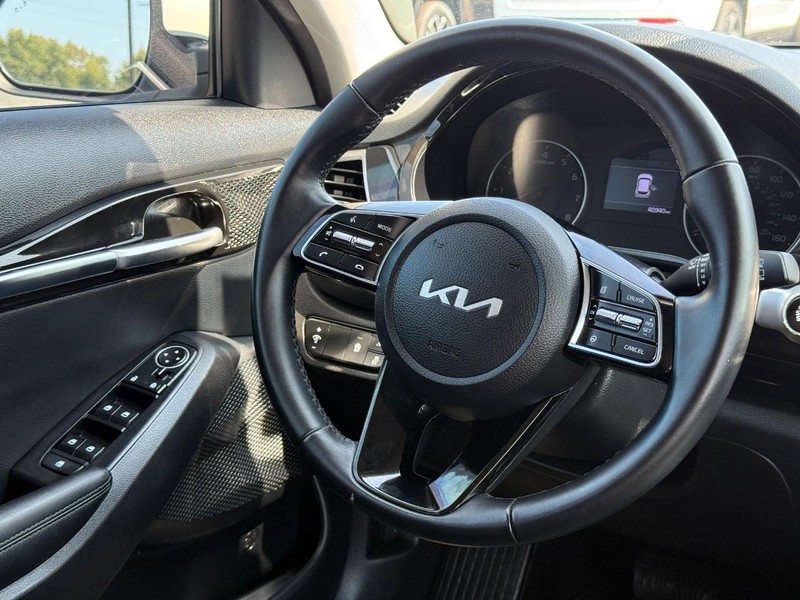 Kia Seltos Vehicle Image 13