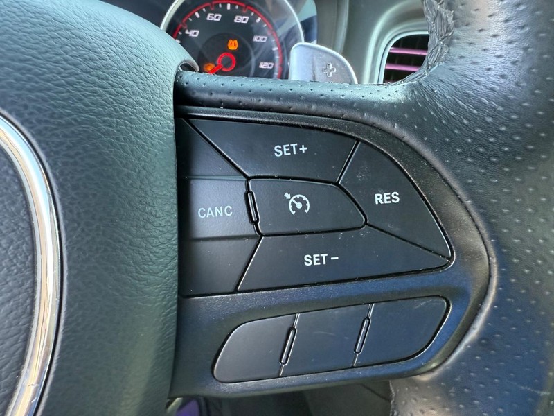 Dodge Charger Vehicle Image 14