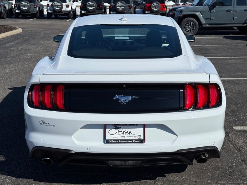 Ford Mustang Vehicle Image 04