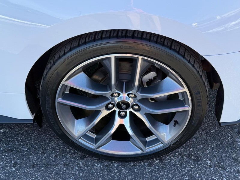 Ford Mustang Vehicle Image 06