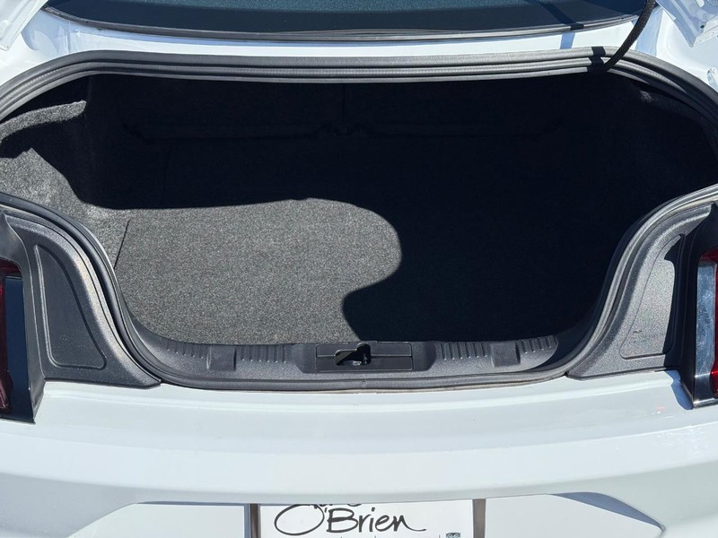 Ford Mustang Vehicle Image 07