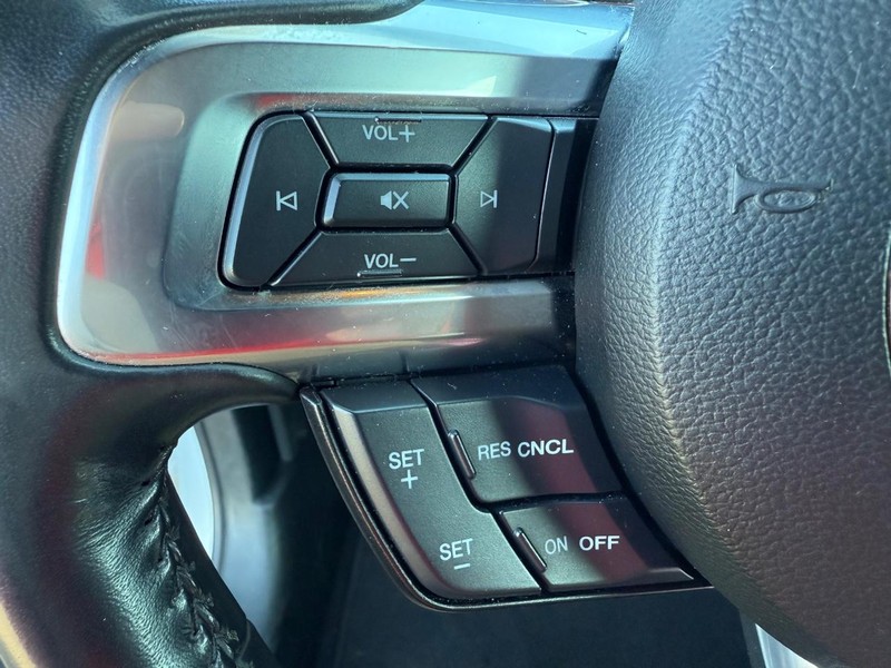 Ford Mustang Vehicle Image 13