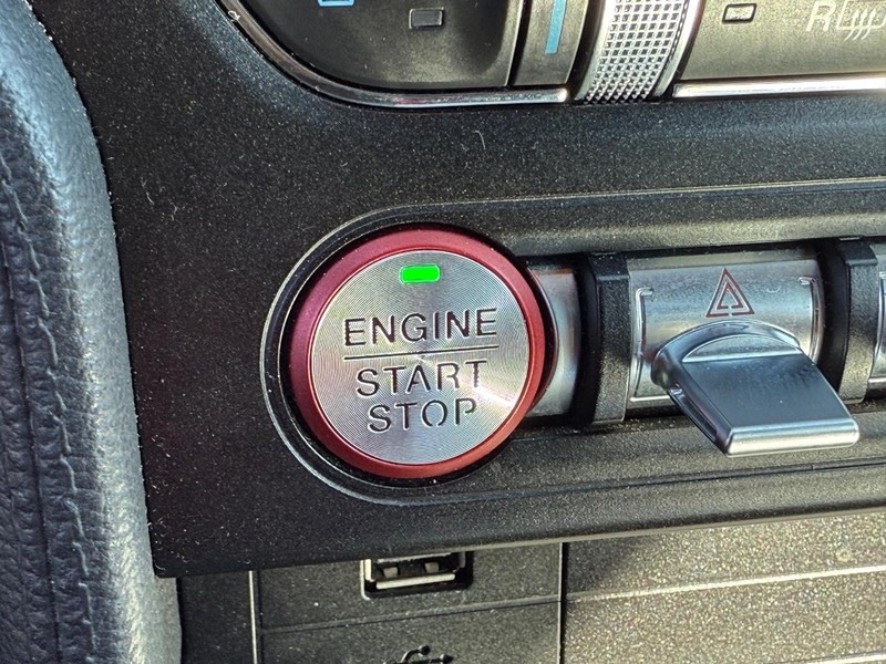 Ford Mustang Vehicle Image 15