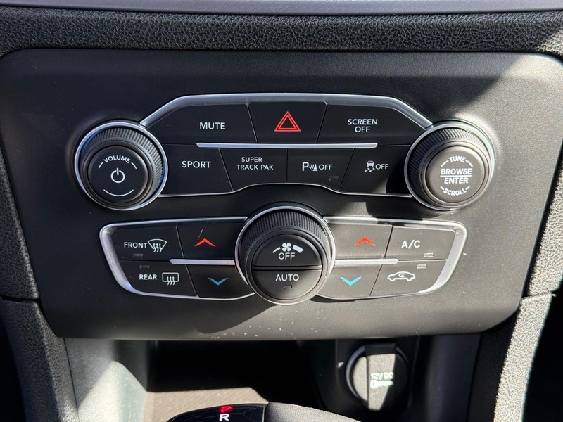 Dodge Charger Vehicle Image 19